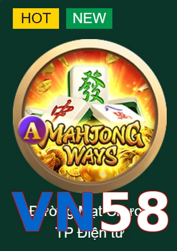 VN58