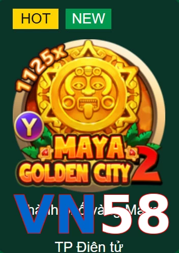VN58
