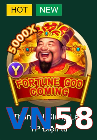 VN58